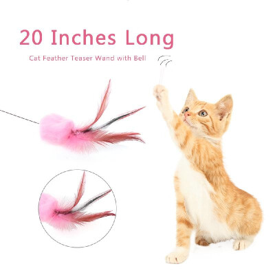 Cat Feather Teaser Wand 20 Inches Long Metal Wand Interactive Feather Teaser Toy with Bells for Cats Kittens Random Color
Cat Feather Teaser Wand 20 Inches Long Metal Wand Interactive Feather Teaser Toy with Bells for Cats Kittens Random Color