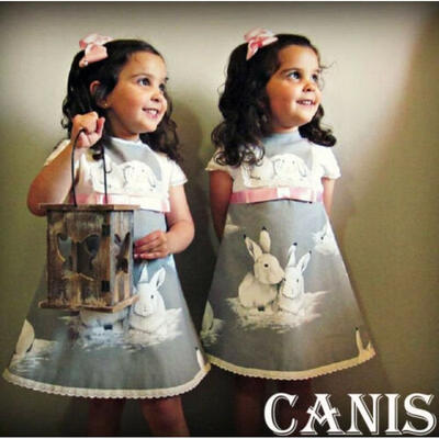 Cute Toddler Kids Baby Girl Princess Summer Casual Bunny Dress Sundress Clothes
Cute Toddler Kids Baby Girl Princess Summer Casual Bunny Dress Sundress Clothes