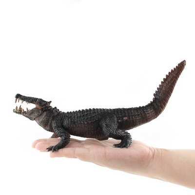 Tailored Educational Science Crocodile Animal Model Ornament Figurine Toy For Kids Gift
Tailored Educational Science Crocodile Animal Model Ornament Figurine Toy For Kids Gift