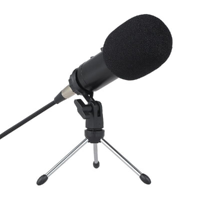 Professional Condenser Microphone Studio Sound Microphone Recording Broadcasting Sound Card Earphone Port with Reverberation Echo
Professional Condenser Microphone Studio Sound Microphone Recording Broadcasting Sound Card Earphone Port with Reverberation Echo