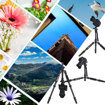 ZOMEI Q666C 59inch Travel Portable Lightweight Carbon Fiber Camera Tripod Monopod with Ball Head Quick Release Plate Carry Bag f
ZOMEI Q666C 59inch Travel Portable Lightweight Carbon Fiber Camera Tripod Monopod with Ball Head Quick Release Plate Carry Bag f