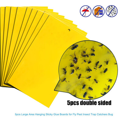 Siaonvr 20Pcs Strong Flies Traps Bugs Sticky Board Catching Aphid Insects Pest Killer 
Siaonvr 20Pcs Strong Flies Traps Bugs Sticky Board Catching Aphid Insects Pest Killer