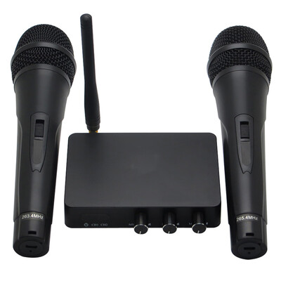 Wireless Microphone System Set 2 Rechargeable Handheld Mics Karaoke Microphone Home KTV Church Wedding Conference
Wireless Microphone System Set 2 Rechargeable Handheld Mics Karaoke Microphone Home KTV Church Wedding Conference