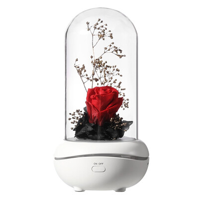 Gobestart LED USB Romantic Eternal Flower Aroma Lamp Colorful Ambience Lamp Rose Wedding
Gobestart LED USB Romantic Eternal Flower Aroma Lamp Colorful Ambience Lamp Rose Wedding