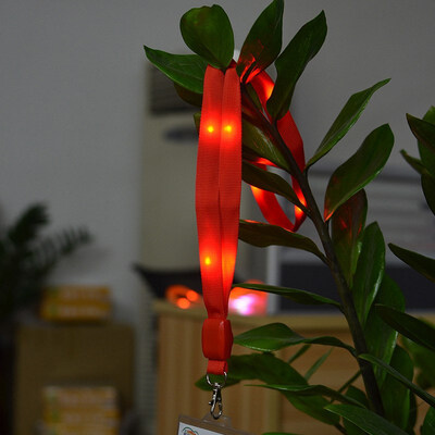 FUNNYBUNNY Led Light with A Certificate Lanyard Label Badge Lanyard Nylon Flash Tag Booster Props Chritmas Decorations
FUNNYBUNNY Led Light with A Certificate Lanyard Label Badge Lanyard Nylon Flash Tag Booster Props Chritmas Decorations