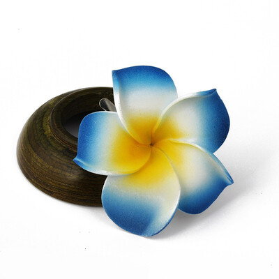 plumeria Flower Foam Hair Clip Accessory Boutique Alligator Clip Assortment For Bridal Wedding Party Beach Vacation Outfit
plumeria Flower Foam Hair Clip Accessory Boutique Alligator Clip Assortment For Bridal Wedding Party Beach Vacation Outfit