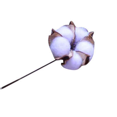 Colorful Cotton Flower Rustic Artificial Single Tree Branch Cotton Stems Wedding Home Decorations
Colorful Cotton Flower Rustic Artificial Single Tree Branch Cotton Stems Wedding Home Decorations