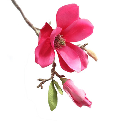 JPGIF Artificial Fake Flowers Leaf Magnolia Floral Wedding Bouquet Party Home Decor
JPGIF Artificial Fake Flowers Leaf Magnolia Floral Wedding Bouquet Party Home Decor