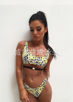 2019 new swimsuit European&American womens sexy split bikini color leopard print bikinii Pink
2019 new swimsuit European&American womens sexy split bikini color leopard print bikinii Pink
