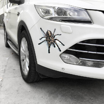 New stereo car spider gecko animal car stickers simulation car tail stickers realistic modification stickers A21 red spider pair
New stereo car spider gecko animal car stickers simulation car tail stickers realistic modification stickers A21 red spider pair