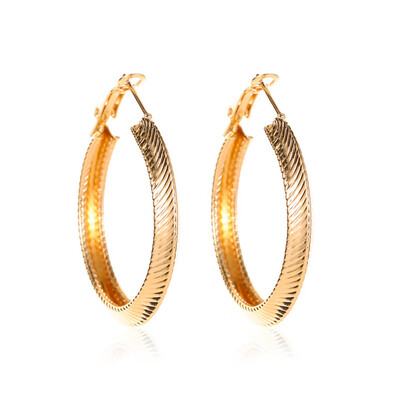 Fashion Popular Gold Silver Hoop Earrings Personality Thick Round Earrings Metal Women Earrings Jewelry
Fashion Popular Gold Silver Hoop Earrings Personality Thick Round Earrings Metal Women Earrings Jewelry