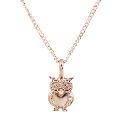 Fashion Jewelry New Gold-color Wisdom Owl Alloy Clavicle Bones Pendant Short Necklace For Women
Fashion Jewelry New Gold-color Wisdom Owl Alloy Clavicle Bones Pendant Short Necklace For Women