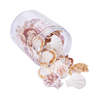 PH PANDAHALL 1Box Scallop Seashells Clam Shell Dyed Beads with Holes for Craft Making Home
PH PANDAHALL 1Box Scallop Seashells Clam Shell Dyed Beads with Holes for Craft Making Home