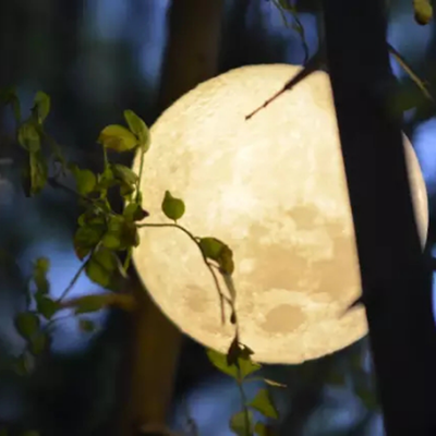 Siaonvr 3D USB LED Magical Moon Night Light Moonlight Table Desk Moon Lamp Gift 13cm
Siaonvr 3D USB LED Magical Moon Night Light Moonlight Table Desk Moon Lamp Gift 13cm