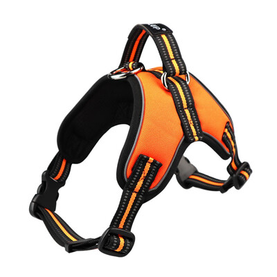 Pet Products For Puppy Small Dog Harness Chihuahua Chest Straps Vest Lead Mesh Shining Large Dog Harnesses Accessories
Pet Products For Puppy Small Dog Harness Chihuahua Chest Straps Vest Lead Mesh Shining Large Dog Harnesses Accessories