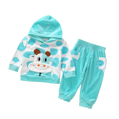 2pcs Spring Baby Sets Cartoon Girls Boys Hoodie Tops Pants Baby Sweatshirt Coat Suits Baby Clothing Sets
2pcs Spring Baby Sets Cartoon Girls Boys Hoodie Tops Pants Baby Sweatshirt Coat Suits Baby Clothing Sets