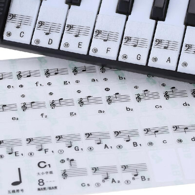 Transparent 49 61 Key Electronic Keyboard 88 Key Piano Stave Note Sticker for White Keys
Transparent 49 61 Key Electronic Keyboard 88 Key Piano Stave Note Sticker for White Keys
