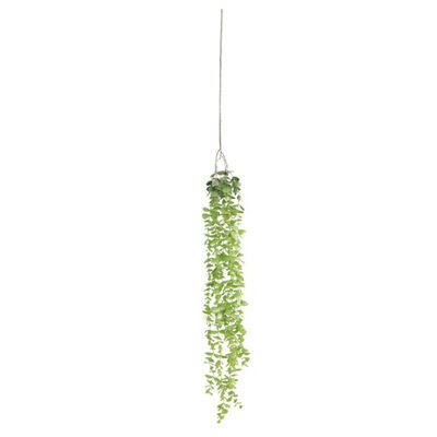Nordic Ins Eucalyptus Leaf Simulation Plant Round Leaf Plastic Flower Money Leaf Indoor Wall Hanging Decoration
Nordic Ins Eucalyptus Leaf Simulation Plant Round Leaf Plastic Flower Money Leaf Indoor Wall Hanging Decoration
