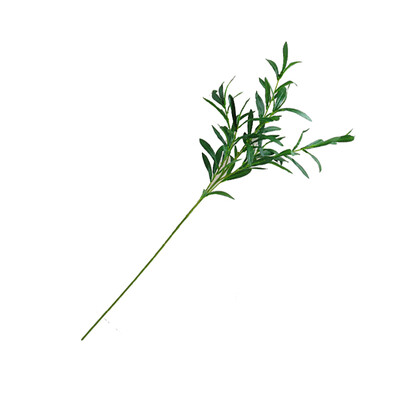 Green Artificial Olive Branch Simulation Plant Olive Leaf Home Wedding Decoration Fake Flower Christmas Ornament
Green Artificial Olive Branch Simulation Plant Olive Leaf Home Wedding Decoration Fake Flower Christmas Ornament