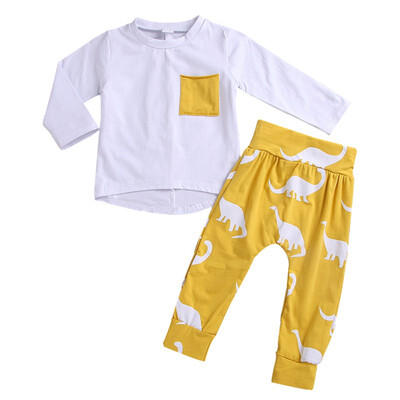 2PCS Toddler Baby Boys Girls Dinosaur Long Sleeve T-Shirt Tops Legging Pants Set Kids Fall Outfits Clothes
2PCS Toddler Baby Boys Girls Dinosaur Long Sleeve T-Shirt Tops Legging Pants Set Kids Fall Outfits Clothes