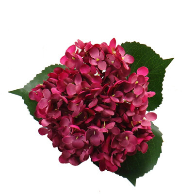 Artificial Hydrangea Flower for Flower Arrangement Home Decorative Hydrangea Branch Retro Simulation Floral Bouquet Supplies
Artificial Hydrangea Flower for Flower Arrangement Home Decorative Hydrangea Branch Retro Simulation Floral Bouquet Supplies