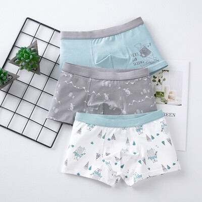 3pcs 3-14T Baby Boy Underpants Casual Fashion Baby Boy Panties Childrens Cartoon Printing Underpants Kids Boxer
3pcs 3-14T Baby Boy Underpants Casual Fashion Baby Boy Panties Childrens Cartoon Printing Underpants Kids Boxer