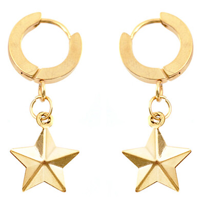 Stainless Steel Pentacle Pendant Fashion Drop Earrings Five-pointed Star Earrings For Women Jewelry
Stainless Steel Pentacle Pendant Fashion Drop Earrings Five-pointed Star Earrings For Women Jewelry