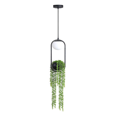 Siaonvr Nordic Plant Chandelier Flower Pot Aisle Restaurant Beautiful Sky Garden LEDLamp
Siaonvr Nordic Plant Chandelier Flower Pot Aisle Restaurant Beautiful Sky Garden LEDLamp