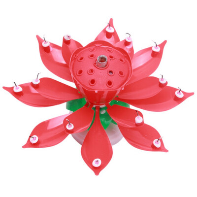 DTY Party Decorations Art Musical Candle Lotus Flower Happy Birthday Party Gift Rotating Lights Decoration 14 Candles Lamp
DTY Party Decorations Art Musical Candle Lotus Flower Happy Birthday Party Gift Rotating Lights Decoration 14 Candles Lamp