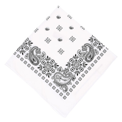 1Pc Outdoor Women Men Sports Scarf Headwear Mask Riding Camping Cycling Headscarf Wrist Cuff Headband
1Pc Outdoor Women Men Sports Scarf Headwear Mask Riding Camping Cycling Headscarf Wrist Cuff Headband