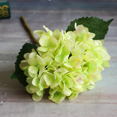 Simulation of a single French Hydrangea Single Cloth Plants Artificial Flower for wedding
Simulation of a single French Hydrangea Single Cloth Plants Artificial Flower for wedding