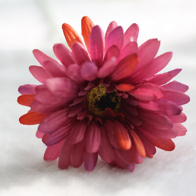 1Pcs fake artificial flowers African chrysanthemum flowers wedding flower silk flower Home Decoration Accessories flores
1Pcs fake artificial flowers African chrysanthemum flowers wedding flower silk flower Home Decoration Accessories flores