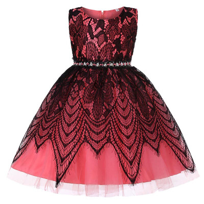 Children Girl Princess Wedding Sleeveless Dress Cute 3-8T Lace Floral Party Flowers Dresses
Children Girl Princess Wedding Sleeveless Dress Cute 3-8T Lace Floral Party Flowers Dresses