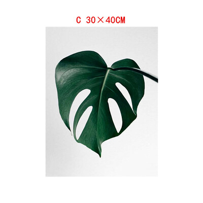 Gobestart Leaf Plant Leaf Tortoise Decorative Canvas Painting Childrens Room Hanging Painting Spray Painting
Gobestart Leaf Plant Leaf Tortoise Decorative Canvas Painting Childrens Room Hanging Painting Spray Painting