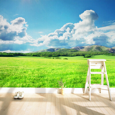Modern Simple Blue Sky Green Lawn Nature Landscape Mural Wallpaper Living Room Bedroom Backdrop Wall Home Decor Photo Wall Paper
Modern Simple Blue Sky Green Lawn Nature Landscape Mural Wallpaper Living Room Bedroom Backdrop Wall Home Decor Photo Wall Paper