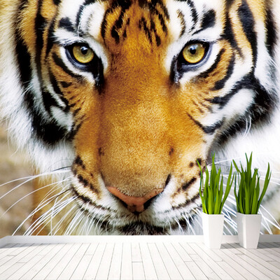 Custom 3D Photo Wallpaper Tiger Animals Restaurant Cafe Living Room Bedroom Sofa Background Non-woven 3D Wall Murals Wallpaper
Custom 3D Photo Wallpaper Tiger Animals Restaurant Cafe Living Room Bedroom Sofa Background Non-woven 3D Wall Murals Wallpaper