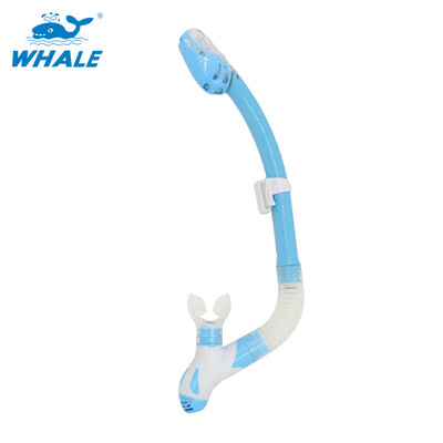 Whale Brand professional scuba diving equipment breathing tube with 6 colors snorkel with high quality
Whale Brand professional scuba diving equipment breathing tube with 6 colors snorkel with high quality