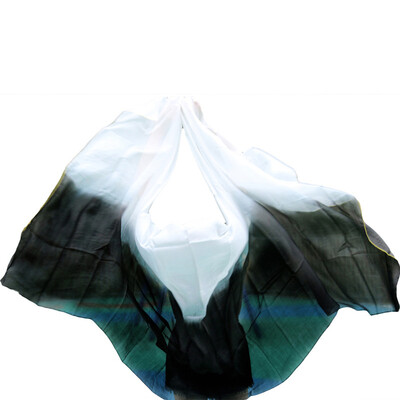 Belly Dance Props Women Belly Dance Silk Veils 250270114cm Belly Dance Veil For Girls Belly Dance Silk Veils WhiteBlack
Belly Dance Props Women Belly Dance Silk Veils 250270114cm Belly Dance Veil For Girls Belly Dance Silk Veils WhiteBlack