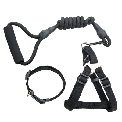 Hippie dog hyena rope dog chain dog ring dog belt p chain cat rope cat chain pet slip cat dog supplies small dog dog collar stra
Hippie dog hyena rope dog chain dog ring dog belt p chain cat rope cat chain pet slip cat dog supplies small dog dog collar stra