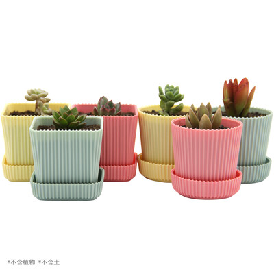 Looking forward to a set of 6 color plastic resin fleshy flower pot with tray square round planting pot fleshy mini planting green plant pot 6570mm
Looking forward to a set of 6 color plastic resin fleshy flower pot with tray square round planting pot fleshy mini planting green plant pot 6570mm