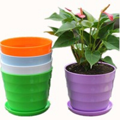 Cntomlv 3pcs Mini Plastic Plant Flower Pot Home Office Decor Planter Colorful With Pots Trays Green Plant Artificial
Cntomlv 3pcs Mini Plastic Plant Flower Pot Home Office Decor Planter Colorful With Pots Trays Green Plant Artificial