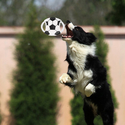 LetsKeep Dog Flying Disc Toy outdoor Football training for puppies quick dry playing toys Diameter 19 cm
LetsKeep Dog Flying Disc Toy outdoor Football training for puppies quick dry playing toys Diameter 19 cm