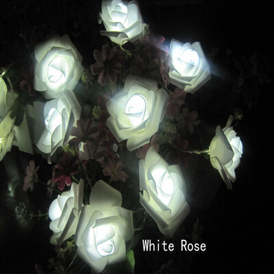 Goodbulb 20 Led Rose Flower Wedding Rose Garden Rose Light Party Led light Christmas Decoration Light Led String Light
Goodbulb 20 Led Rose Flower Wedding Rose Garden Rose Light Party Led light Christmas Decoration Light Led String Light