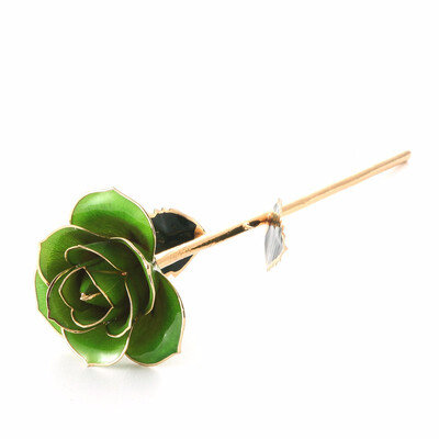Daya light green Gold Rose Gold Rose Love Forever Long Stem Dipped 24k Rose Foil Trim Gifts for Her light green
Daya light green Gold Rose Gold Rose Love Forever Long Stem Dipped 24k Rose Foil Trim Gifts for Her light green