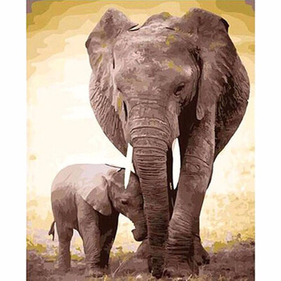 Frameless DIY Oil Painting By Numbers Hand Painted Modern Wall Canvas Painting Picture For Living Room Elephant
Frameless DIY Oil Painting By Numbers Hand Painted Modern Wall Canvas Painting Picture For Living Room Elephant