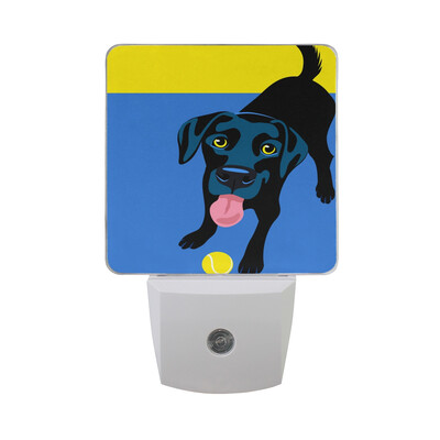 ALAZA LED Night Light With Smart Dusk To Dawn SensorLabrador Retriever Painting Plug In Night Light
ALAZA LED Night Light With Smart Dusk To Dawn SensorLabrador Retriever Painting Plug In Night Light