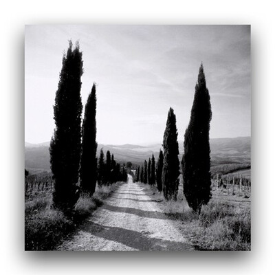 Modular HD Print Artwork Landscape Home Decor Fashion Canvas painting Picture On Wall For Living Room
Modular HD Print Artwork Landscape Home Decor Fashion Canvas painting Picture On Wall For Living Room