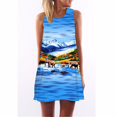 Chiffon Summer Dress Floral Print Boho Dresses For Women Casual Beach Sleeveless Sundress
Chiffon Summer Dress Floral Print Boho Dresses For Women Casual Beach Sleeveless Sundress