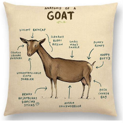 Funny Animals Anatomy Flamingo Fox Dachshund Giraffe Hedgehog Lion Pug Squirrel Cushion Cover Sofa Throw Pillow Case
Funny Animals Anatomy Flamingo Fox Dachshund Giraffe Hedgehog Lion Pug Squirrel Cushion Cover Sofa Throw Pillow Case