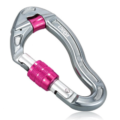 Lixada 25KN Snag Free Carabiner D Shape Carabiner Quick Clip Equipment Screw Lock Camping Rock Climbing Traveling Hammock Key Ring
Lixada 25KN Snag Free Carabiner D Shape Carabiner Quick Clip Equipment Screw Lock Camping Rock Climbing Traveling Hammock Key Ring